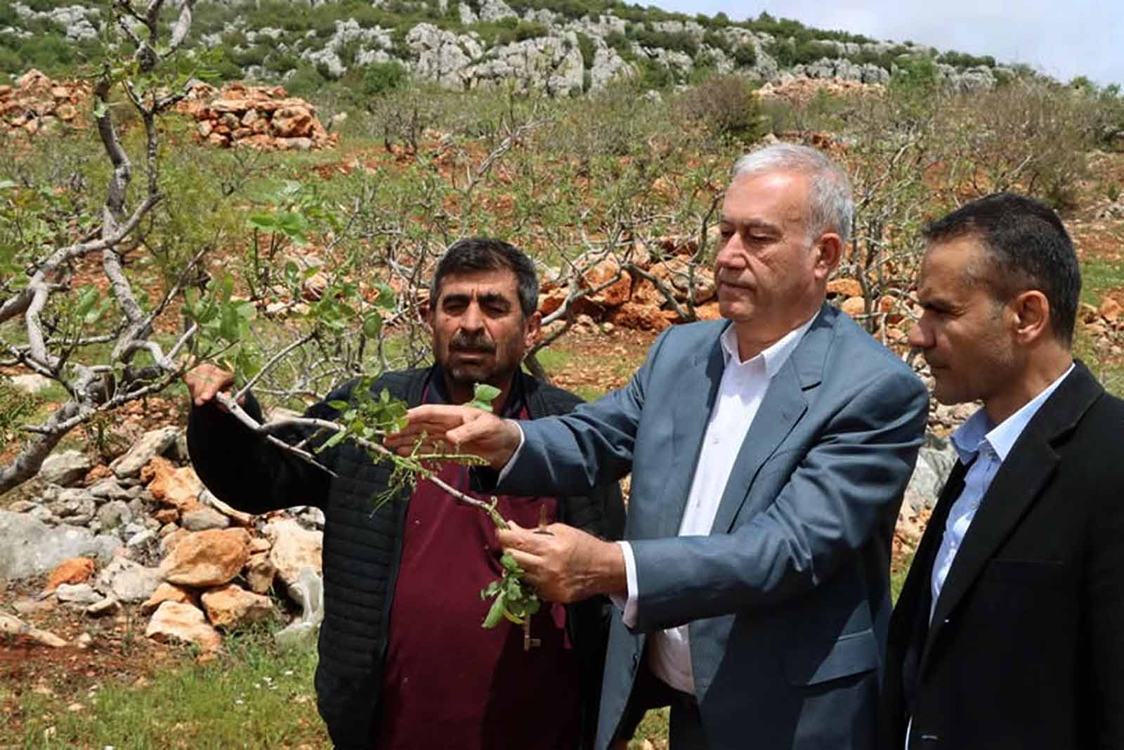 Araban’da ‘süper hücre’ fırtınası fıstık bahçelerine zarar verdi