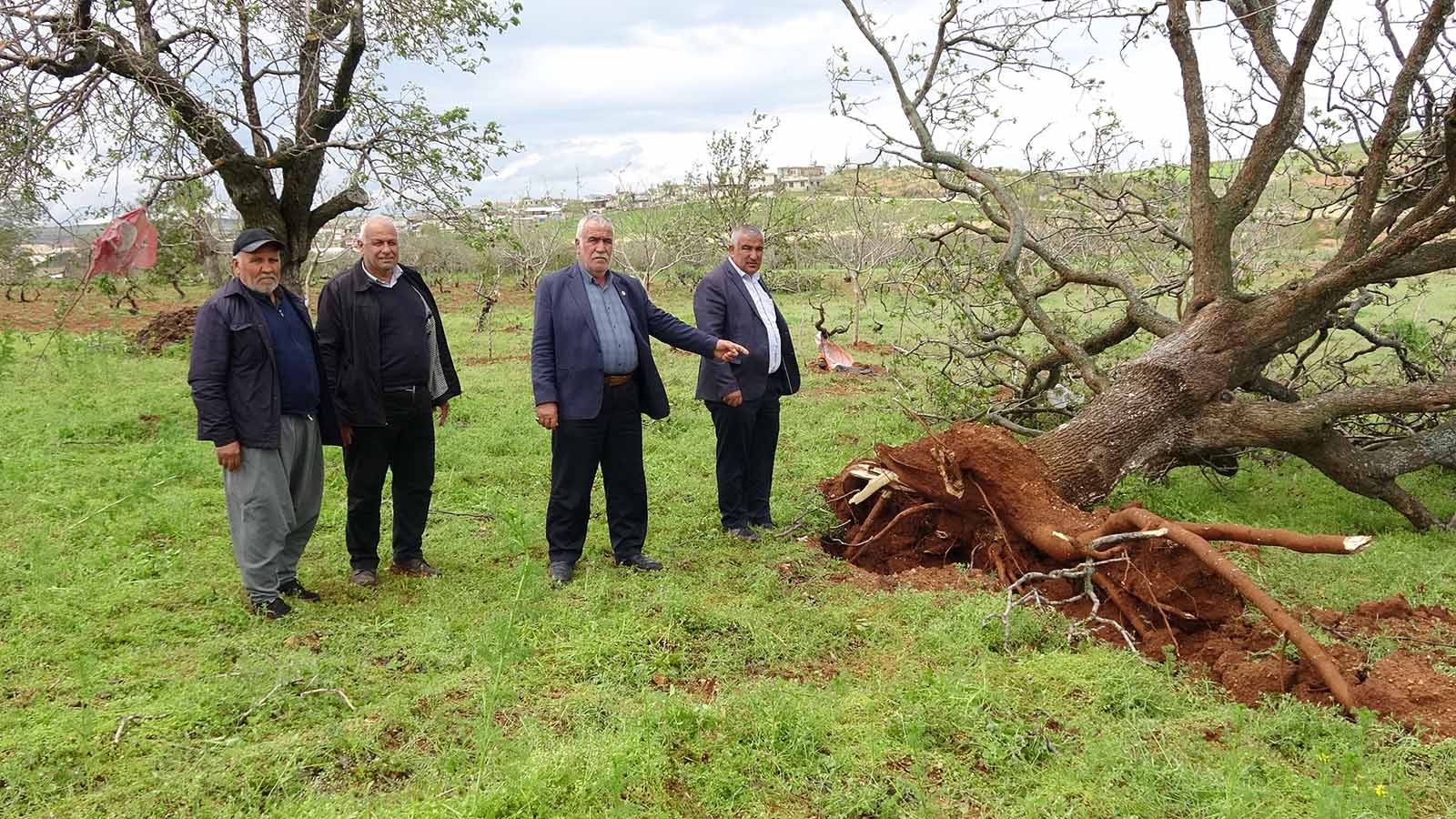 Gaziantep’te ‘süper hücre’ fırtınası fıstık ağaçlarını söktü