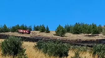 Gaziantep’te Orman Yangını Kontrol Altına Alındı